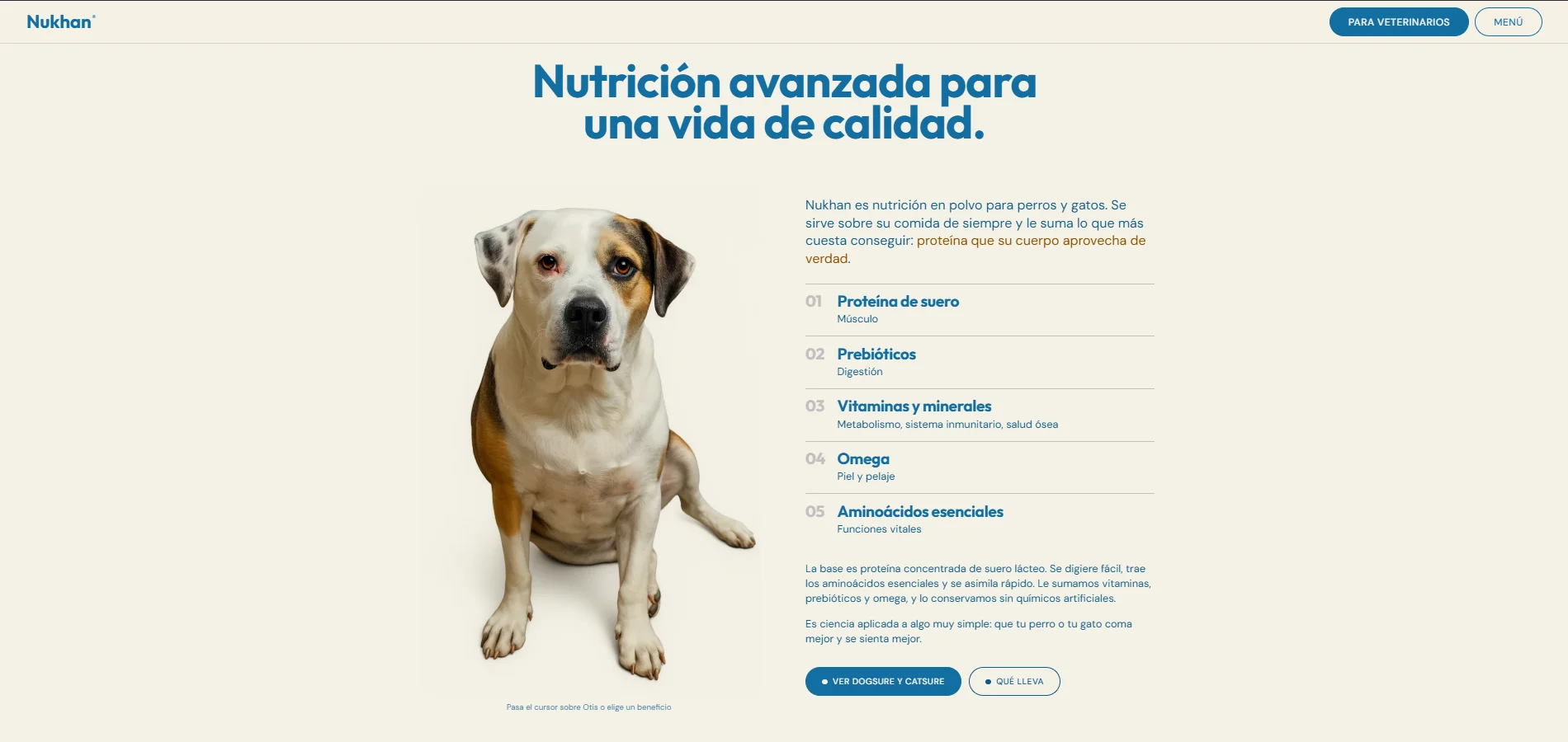 Nukhan: vista de la web